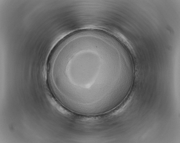 X0000111020892200907022156