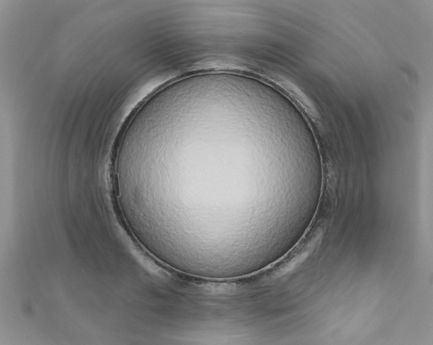 X0000111020893200907022156