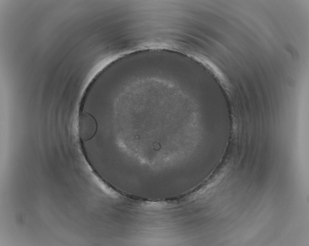 X0000111020894200907022156
