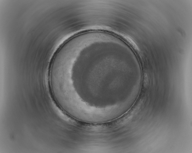 X0000111020895200907022156