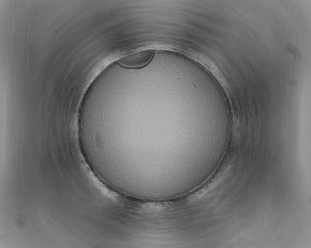 X0000111020898200907022156