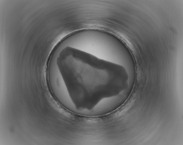 X0000111020899200907022156
