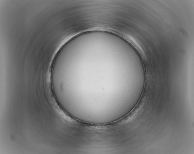 X0000111020900200907022156