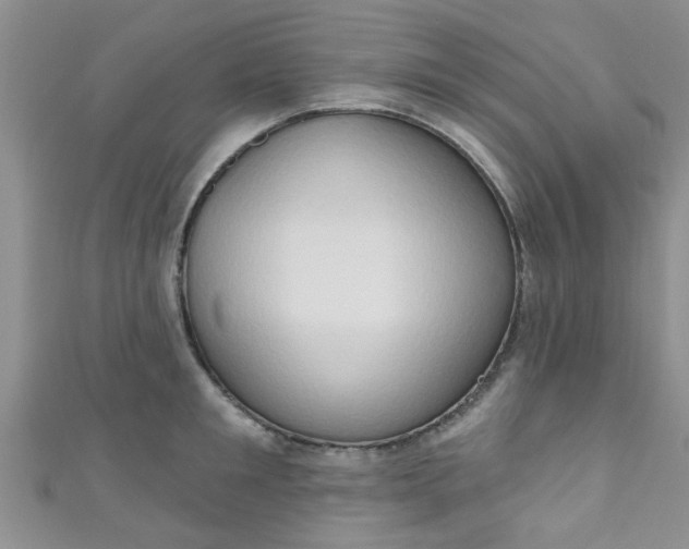 X0000111020901200907022156