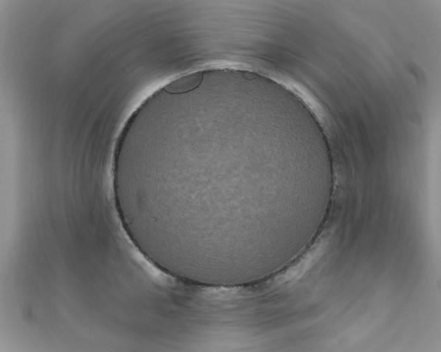 X0000111020902200907022156