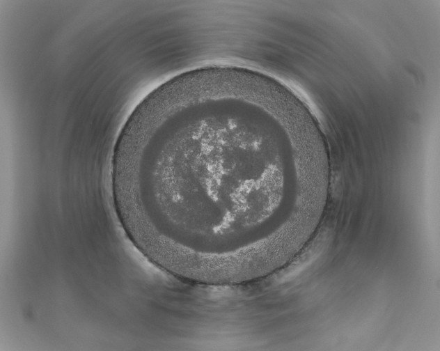 X0000111020903200907022156