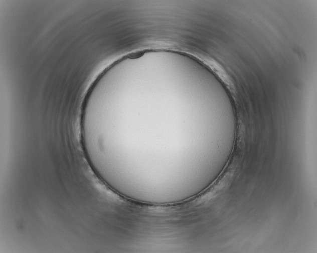 X0000111020904200907022156