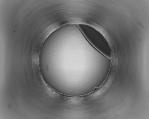 X0000111020905200907022156