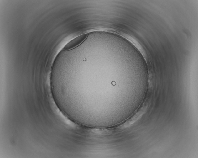X0000111020906200907022156