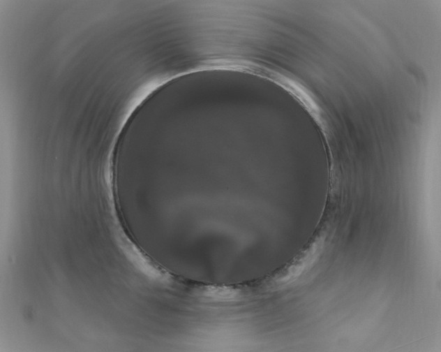 X0000111020907200907022156