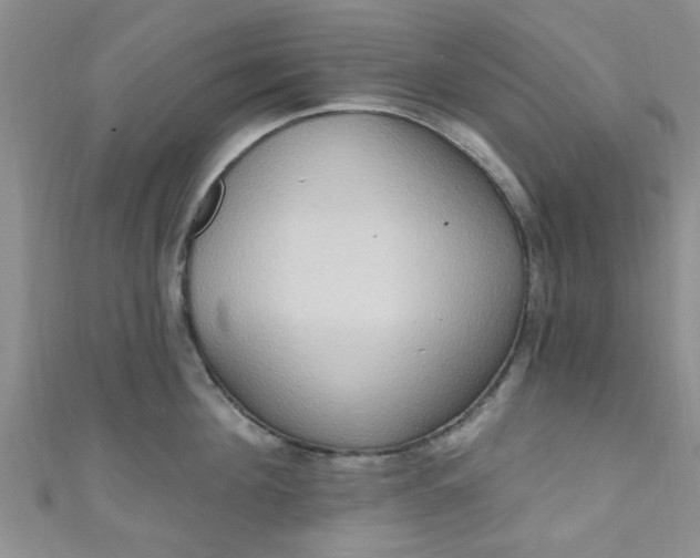 X0000111020908200907022156