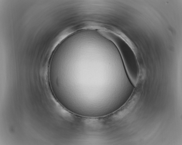 X0000111020909200907022156