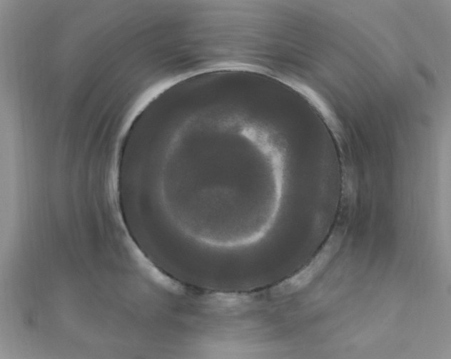 X0000111020910200907022156