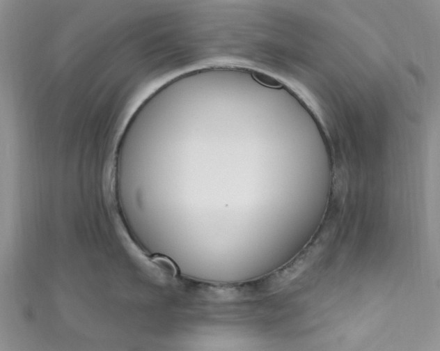 X0000111020911200907022156