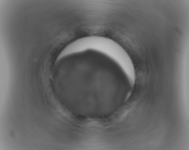X0000111020913200907022155