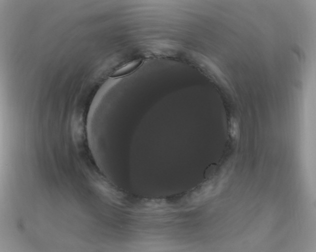X0000111020915200907022155