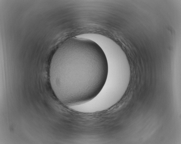 X0000111020916200907022155
