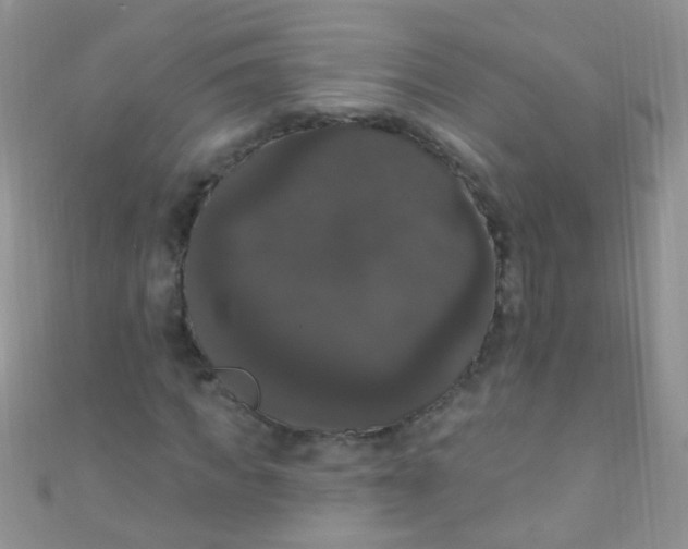 X0000111020917200907022155