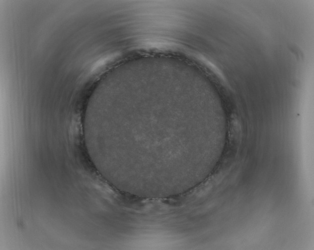 X0000111020918200907022155