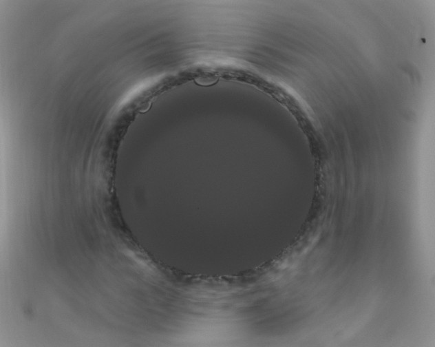 X0000111020919200907022155