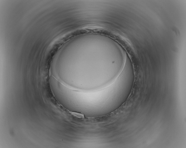 X0000111020920200907022155