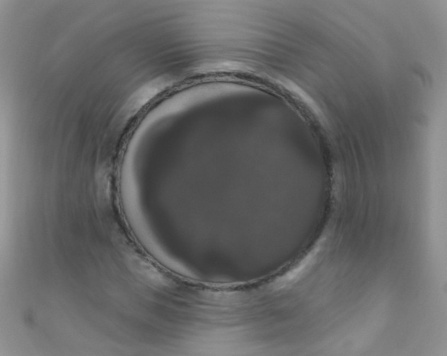 X0000111020921200907022155