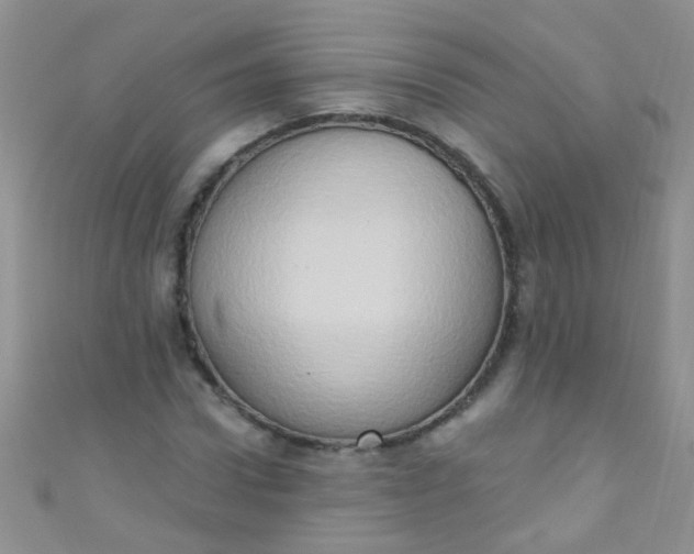 X0000111020922200907022155