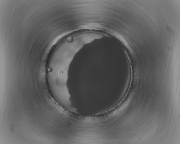 X0000111020923200907022155
