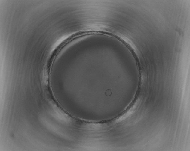 X0000111020925200907022155