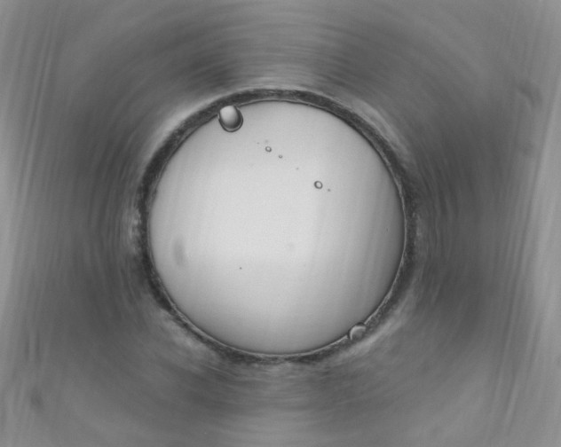 X0000111020926200907022155