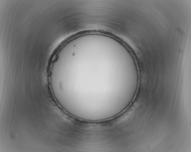 X0000111020927200907022155