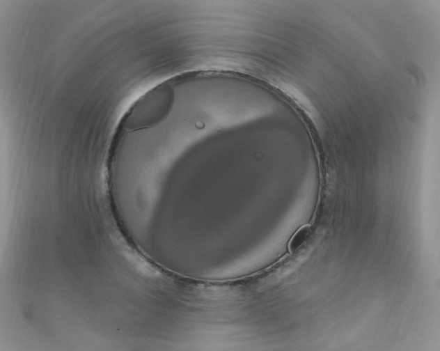 X0000111020928200907022155