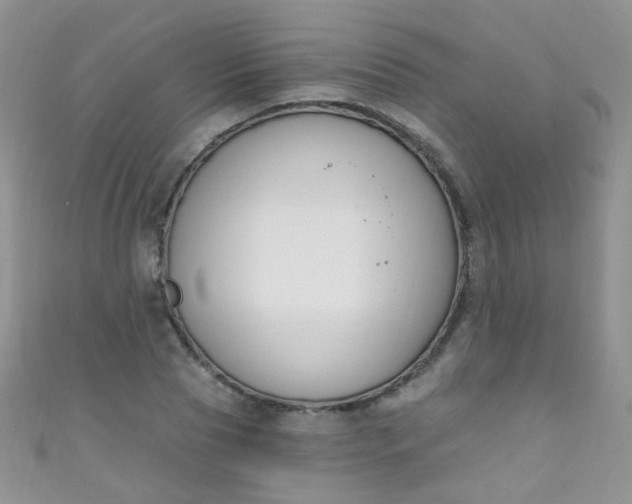 X0000111020929200907022155