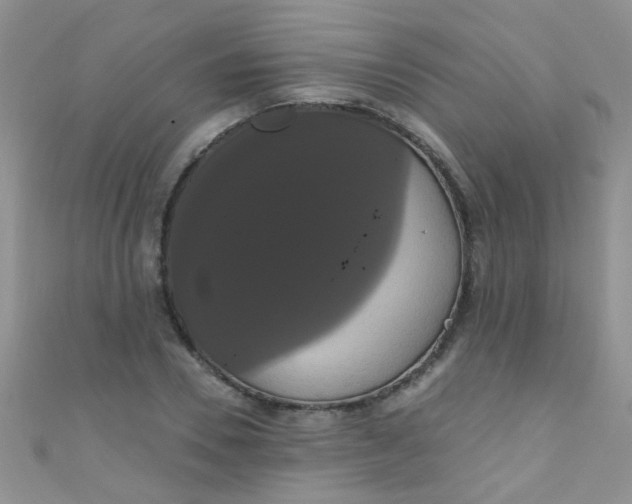 X0000111020930200907022155