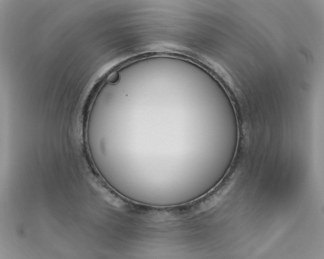 X0000111020931200907022155