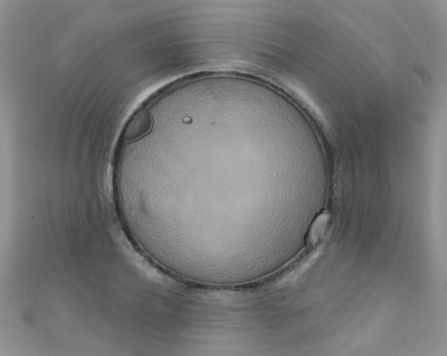 X0000111020932200907022155