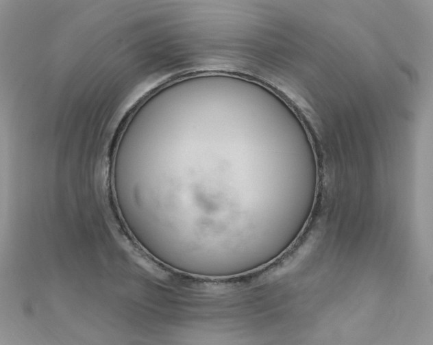 X0000111020933200907022155