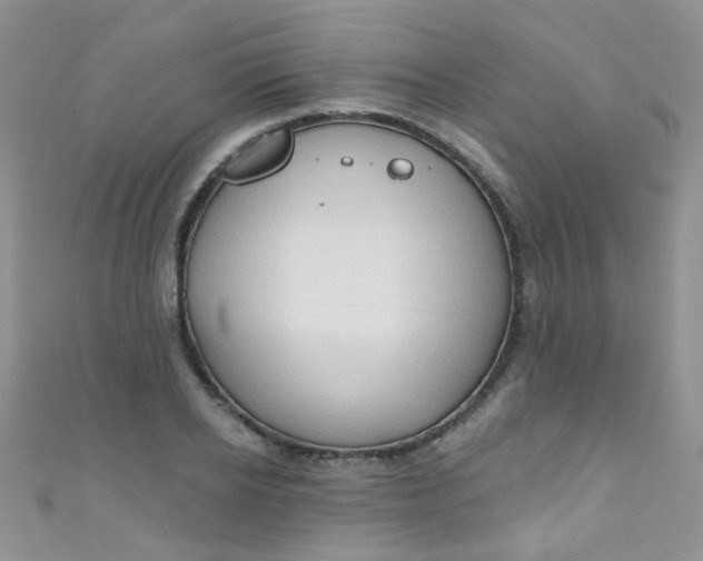 X0000111020934200907022155