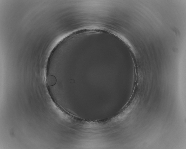 X0000111020935200907022155