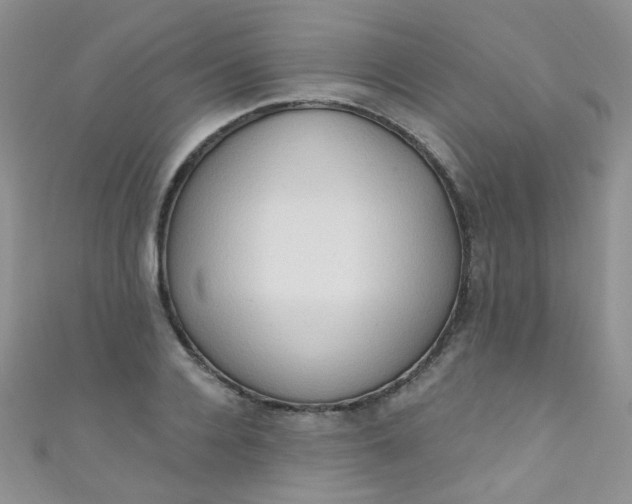 X0000111020936200907022155