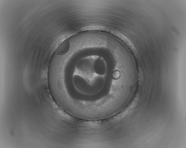 X0000111020937200907022155
