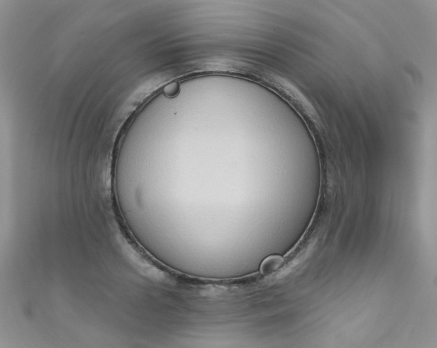 X0000111020938200907022155
