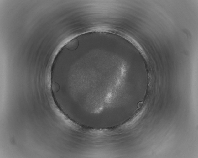X0000111020939200907022155