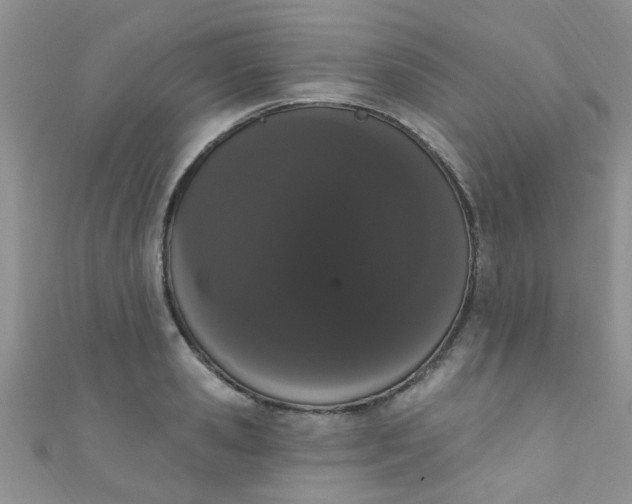 X0000111020941200907022155