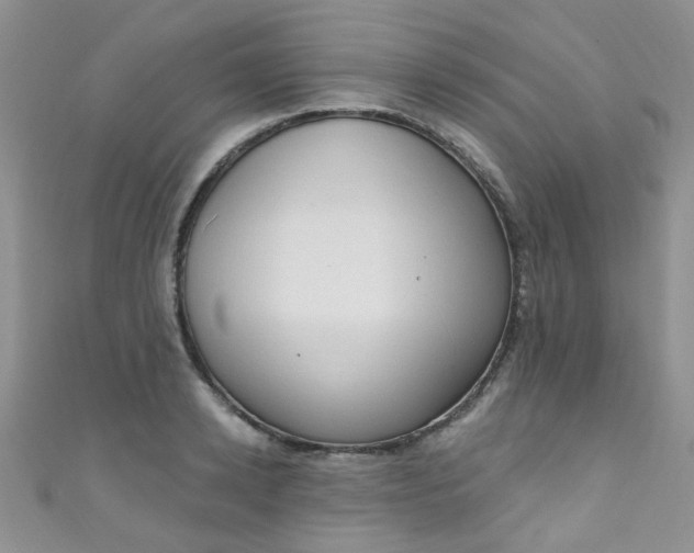 X0000111020942200907022155