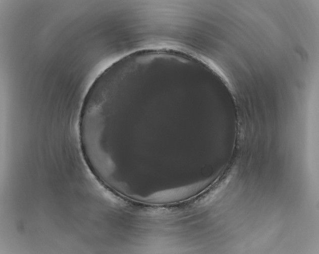 X0000111020943200907022155
