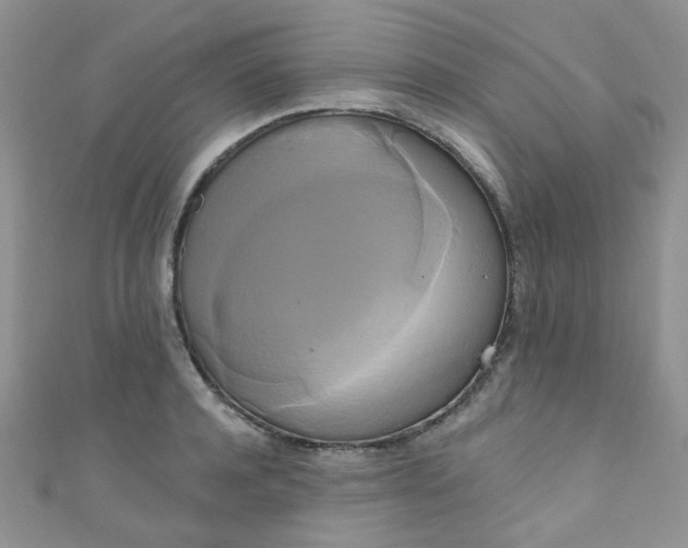 X0000111020944200907022155