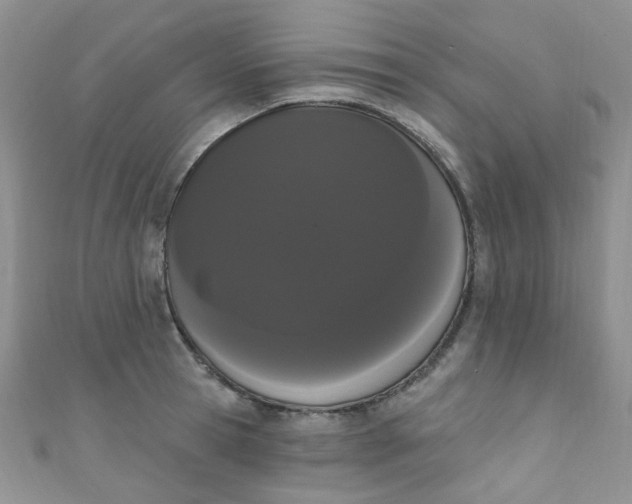 X0000111020945200907022156