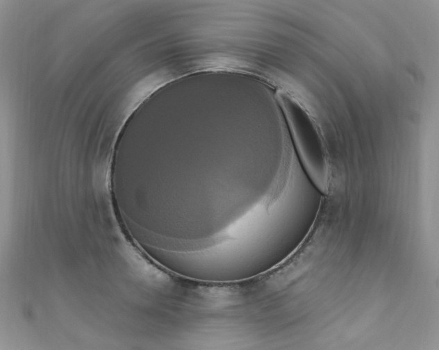 X0000111020946200907022156