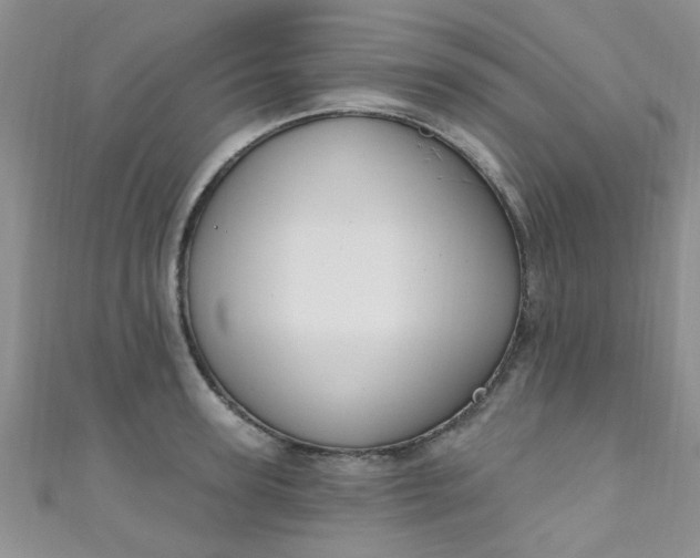 X0000111020947200907022156